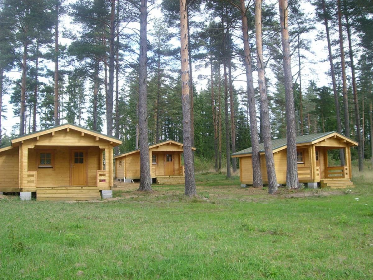 Дома для отпуска Artur´s Eaterie and Holiday home Витна-17